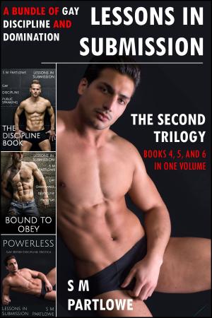 Cover of Lessons in Submission: The Second Trilogy (A Bundle of Gay Discipline and Domination)