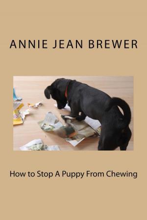 Cover of the book How to Stop a Puppy From Chewing by Annie Jean Brewer