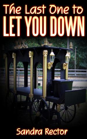 Cover of the book The Last One To Let You Down by J. S. King