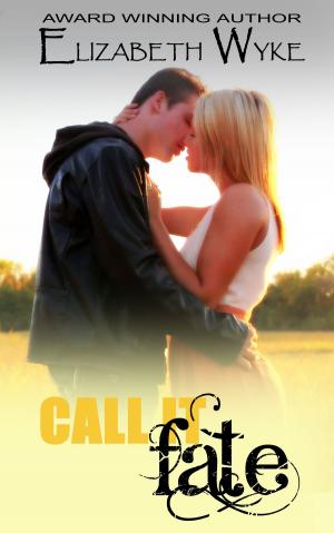 Cover of the book Call it Fate by Megan Kelsey