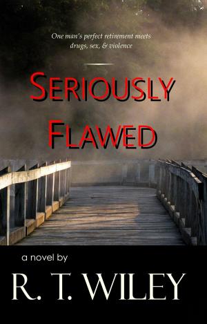 Cover of the book Seriously Flawed by Barbara J. Bain