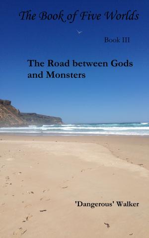 Cover of the book The Road between Gods and Monsters by Kylie Quillinan