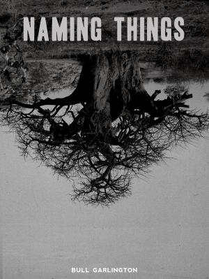 bigCover of the book Naming Things by 