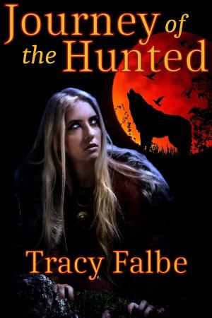 Cover of the book Journey of the Hunted by Karen Anders