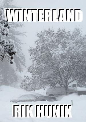Cover of the book Winterland by P.A. Ross