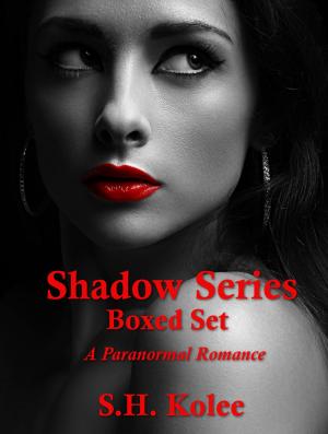 Cover of the book Shadow Series Boxed Set by Vincent Caggiano