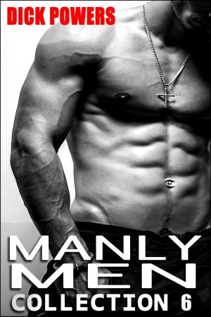 Book cover of Manly Men Collection 6