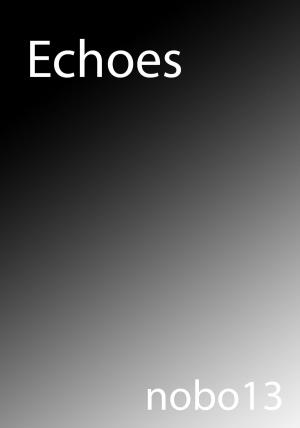 Cover of the book Echoes by Nobo13