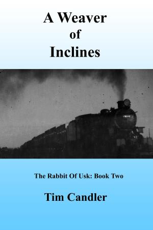 Cover of A Weaver of Inclines