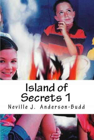bigCover of the book Island of Secrets 1 by 