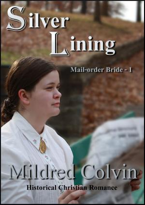 Cover of the book Silver Lining by Kaye Dobbie