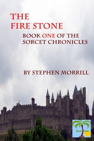 Book cover of The Firestone: Book One of the Sorcet Chronicles