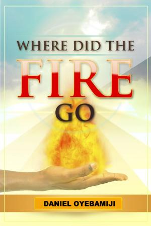 Cover of the book Where Did The Fire Go by Joseph Prince