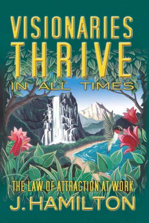 Cover of the book Visionaries Thrive In All Times: law of attraction at work by J.C. Herz