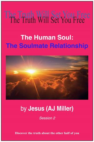 Cover of The Human Soul: The Soulmate Relationship Session 2
