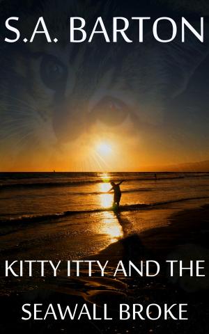 Cover of the book Kitty Itty And The Seawall Broke by Bob Biderman
