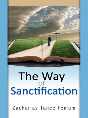 Cover of the book The Way Of Sanctification by Foluke Oluwatoyinbo