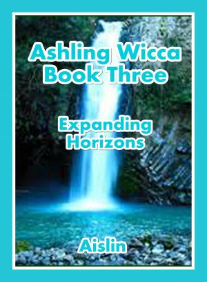 Book cover of Ashling Wicca, Book Three