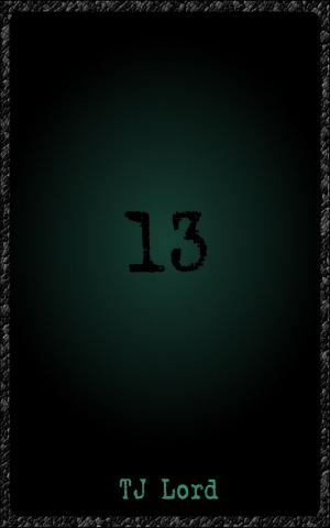 bigCover of the book 13 by 