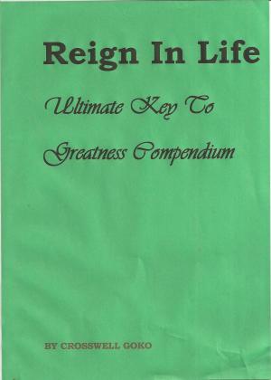 Cover of Reign In Life: Ultimate Key To Greatness Compendium
