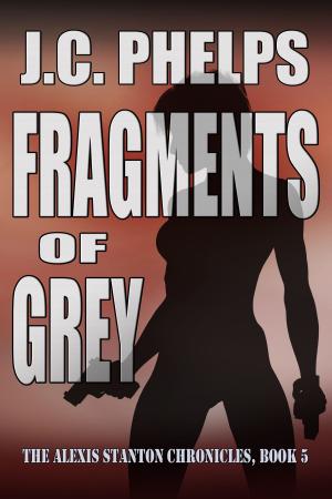 Cover of the book Fragments of Grey: Book Five of The Alexis Stanton Chronicles by Violet Daniel