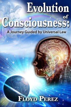 Cover of the book Evolution of Consciousness: A Journey Guided by Universal Law by William Godwin