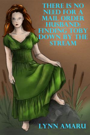 Cover of the book There Is No Need For A Mail Order Husband: Finding Toby Down By The Stream by Lynette Norris
