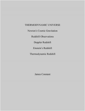 Cover of the book Thermodynamic Universe by James Constant