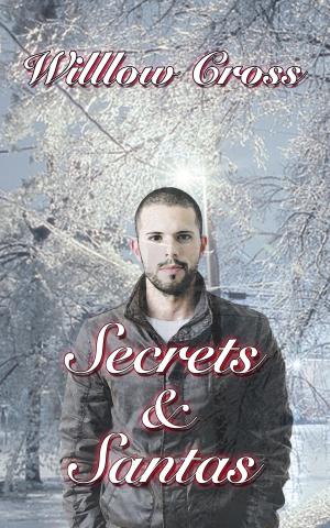 Cover of the book Secrets and Santas by Willow Cross