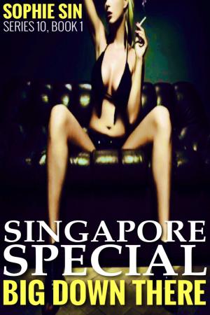 Cover of the book Singapore Special (Big Down There Series 10, Book 1) by Sophie Sin
