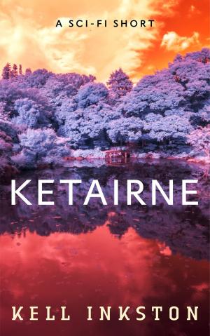 Cover of the book Ketairne by D L Richardson