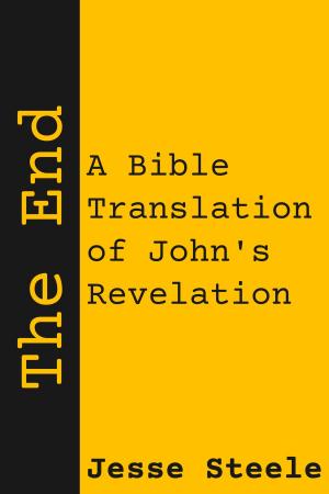 Cover of The End: A Bible Translation of John's Revelation