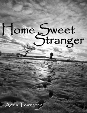 Cover of the book Home Sweet Stranger by Kat Halstead