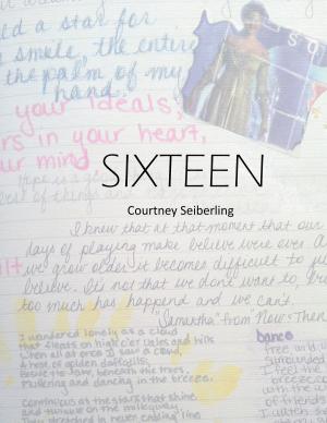 Cover of the book Sixteen by Jennifer Probst