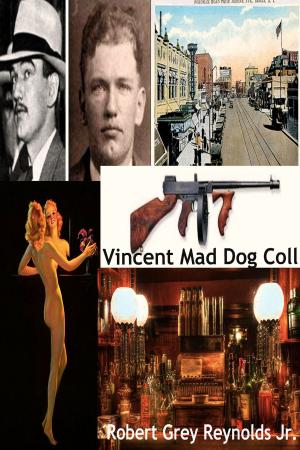 Cover of the book Vincent Mad Dog Coll by Frank Kane