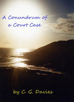 Book cover of A Conundrum of a Court Case.