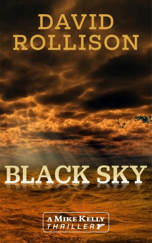 Cover of the book Black Sky by SJ Watson