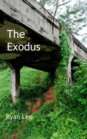 Cover of the book The Exodus by Gustave Aimard