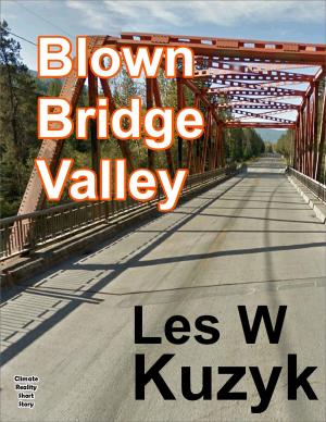Cover of the book Blown Bridge Valley by Les W Kuzyk