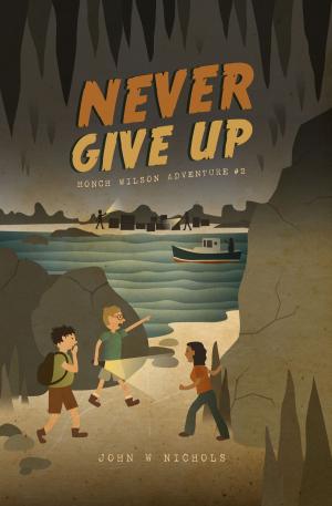 Book cover of Never Give Up: Honch Wilson Adventure #2