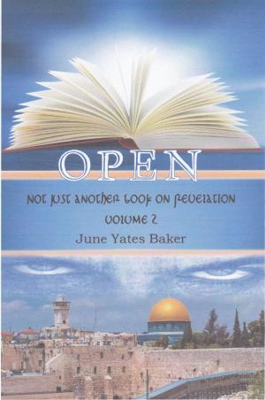 Cover of the book Open, Not Just Another Book on Revelation: Volume 2 by Guy Humphries