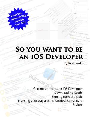 Cover of the book So You Want To Be an iOS Developer by Scott La Counte
