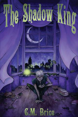 Cover of the book The Shadow King by Anna Andrews