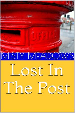 Cover of the book Lost In The Post (Femdom, Chastity) by Stone Franks