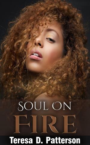 Cover of the book Soul on Fire by P.A. Jones