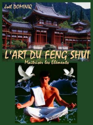 Cover of L'Art du Feng Shui