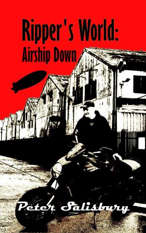 Book cover of Ripper's World: Airship Down