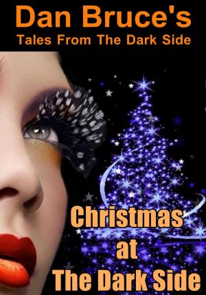 Book cover of Christmas at The Dark Side