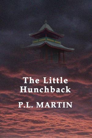 Book cover of The Little Hunchback