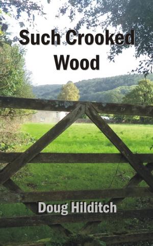 bigCover of the book Such Crooked Wood by 
